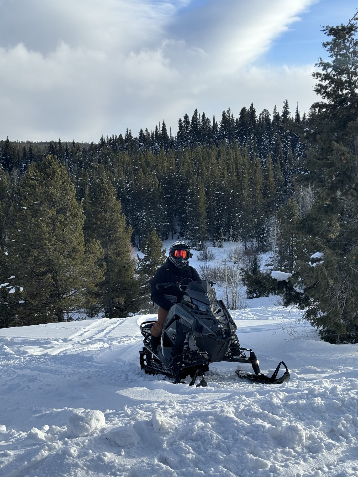 Past SLED SZN trip photo 30