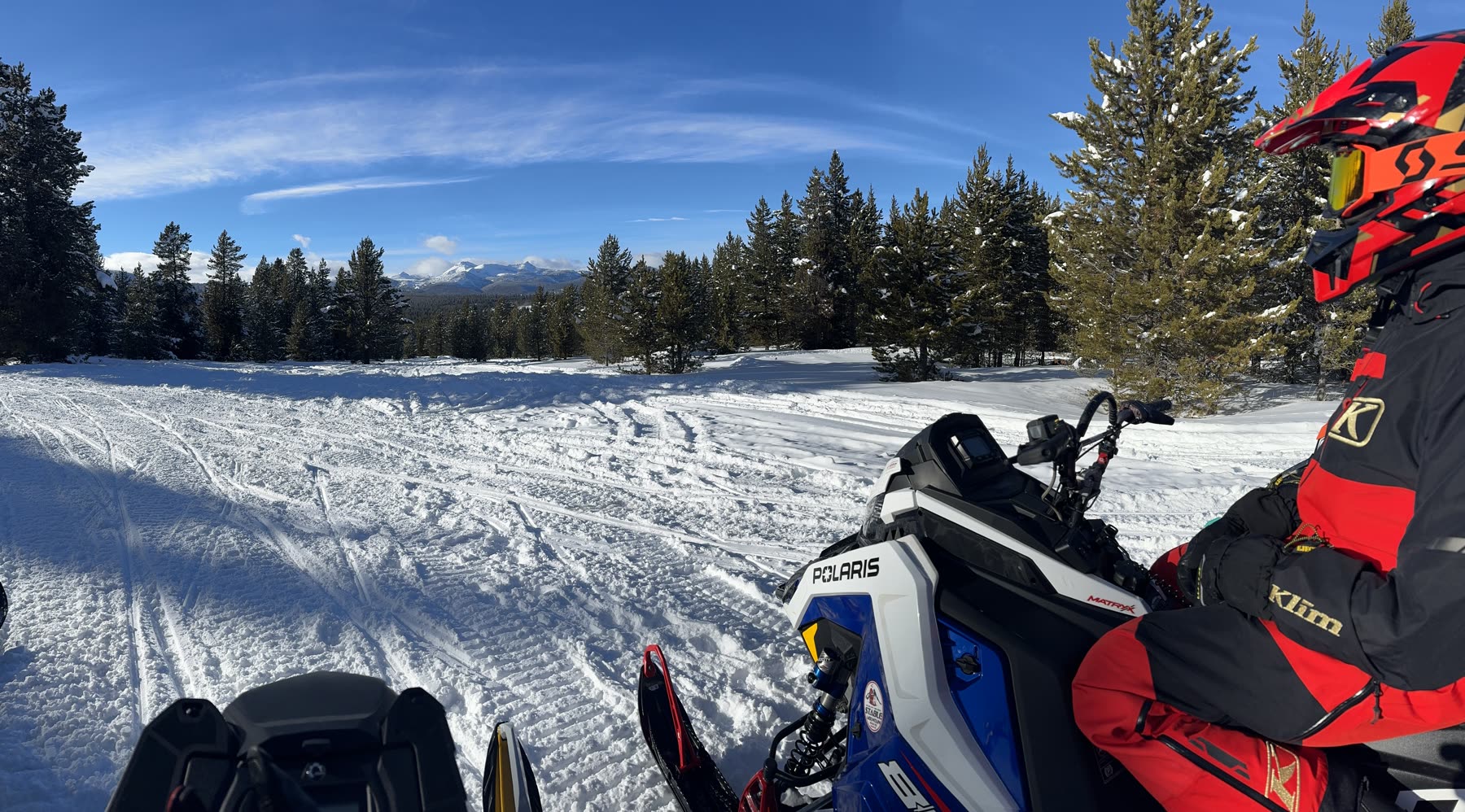 Rider on a groomed trail cutting through deep timber